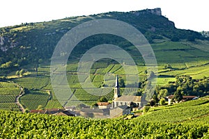 Vergisson with vineyards, Burgundy, France