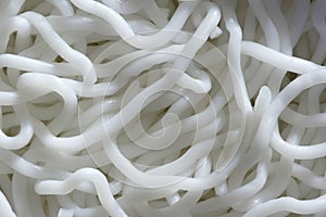 Vermicelli