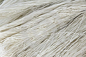 Vermicelli