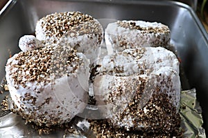 Vermiculite rice cakes full of mycelium ready to fruit