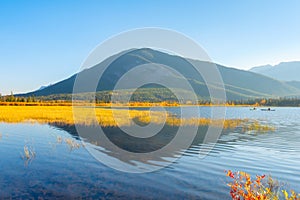 Vermilion lakes. Landscape during daylight hours. A lake in a river valley. Grass in the water. Fall view. Mountains and forest. N