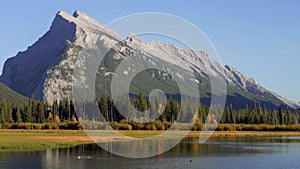 Vermilion Lakes and Mount Rundle autumn foliage scenery in sunset time. Banff National Park, Canadian Rockies