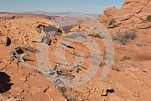 Vermillion Cliffs National Monument