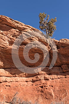 Vermillion Cliffs National Monument