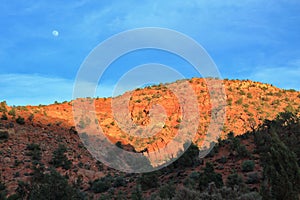 Vermillion Cliffs National Monument with Southwest Desert Landscape along House Rock Road in Evening Light, Utah