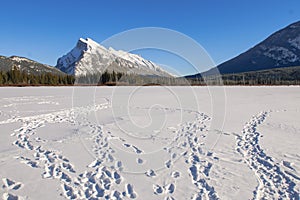 Vermillion Lakes