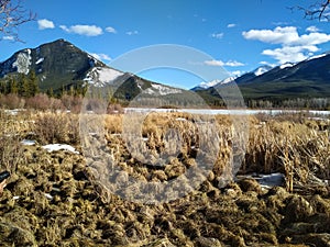 Vermillion Lakes in Banff National Park, Alberta, Canada