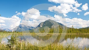 Vermillion Lakes behind grass