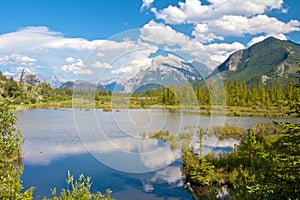 Vermillion Lakes between bushes