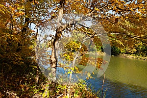 Vermillion River landscape