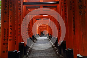 Vermillion torii gates of Fushimi Inari-taisha Shrine, Southern Kyoto, Japan