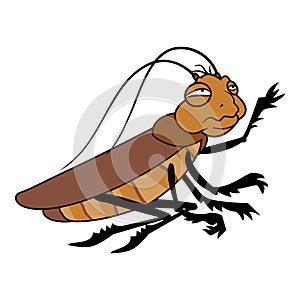 Vermin cockroach icon cartoon vector. Brown pest