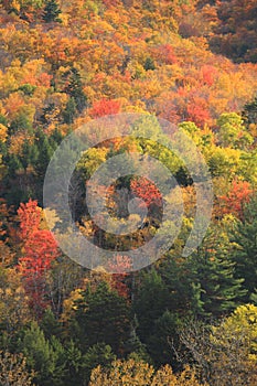 Vermont Autumn Color