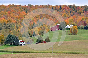 Vermont Fall Foliage, Mount Mansfield, Vermont