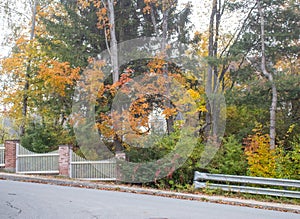 Vermont Foliage during the fall time