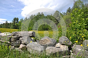 Vermont Meadow