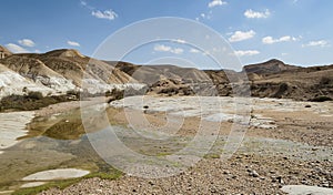 Vernal Pool in the Ein Akev Stream in the Zin Valley in Israel