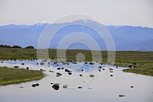 Vernal Pool on Table Rock Mountain