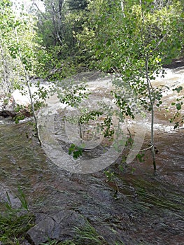 Vernal Utah nature river photo