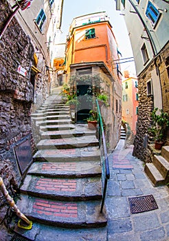 Vernazza Alleyway, Cinque Terre, Italy III