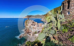 Vernazza in Cinque Terre, Italy panorama.