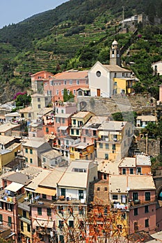 Vernazzas colourful homes ITALY