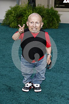 Verne Troyer