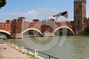Verona Italy Castelvecchio
