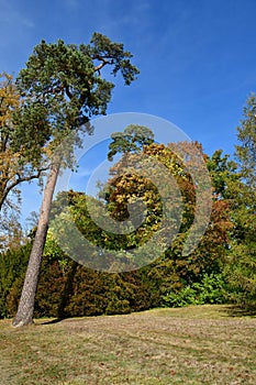 Versailles; France - october 14 2018 : Grand Trianon in the Marie Antoinette estate