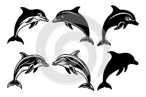 Dolphin Silhouettes and Stylized Vector Illustrations Set