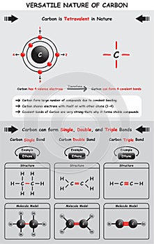 Versatile Nature of Carbon Infographic Diagram