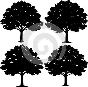 Set of Black Tree Silhouettes Vector Illustration