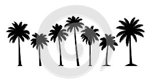Tropical Palm Tree Silhouettes Vector Set