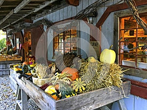 Rustic New England Autumn Harvest Pumpkin Outdoor Display