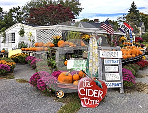 Quintessential New England Roadside Farm Stand Sells Pumpkins in Autumn