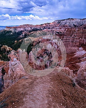 Vertcal shot of rocky heights at Bryce Canyon National Park and green trees in Utah, USA