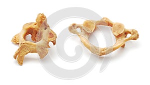 Vertebra photo