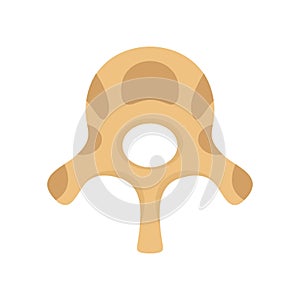 Vertebra disc icon, flat style