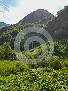 Vertial image of landscape with waterfall in the Val Lavizzara photo
