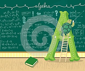 Letter A. Turtle is studying algebra. Character.