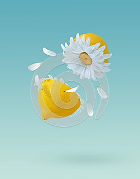 Vertical 3D yellow lemon cut in half with daisy inside on pastel blue background - summer concept