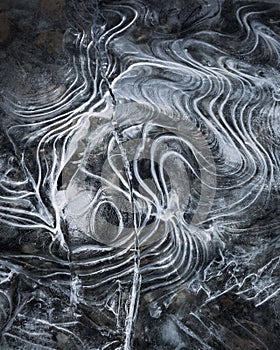 Vertical abstract ice pattern formed by a frozen water texture