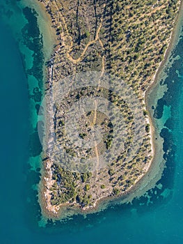 Vertical aerial top view of a field with olive trees near the sea in Lesvos, Greece