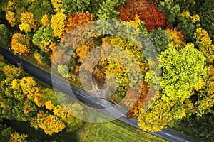 Vertical aerial view of the gray band of an asphalted country road that runs diagonally through a colorful forest with autumn