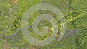 Vertical aerial view of wetlands near Mompos, Colombia photo