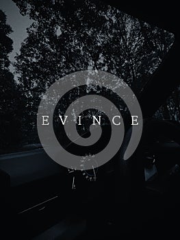 Vertical aesthetic phone wallpaper idea with the word evince