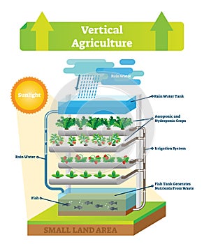 Vertical agriculture environment scheme vector illustration. Fish and soil.