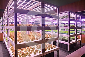 Vertical agriculture vertical farm indoor farm