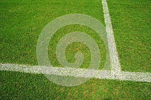Vertical angle view of the white line on a grass soccer field
