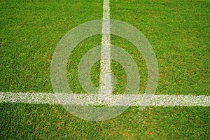 Vertical angle view of the white line on a grass soccer field photo
